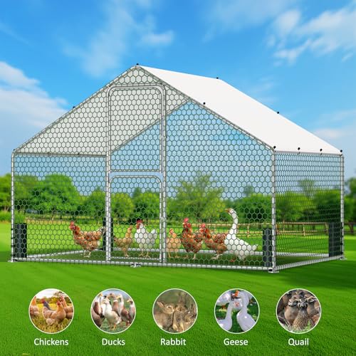 Large Metal Chicken Coop, Walk-in Chicken Run with Feeding Door, Security Lock and Cover, Outdoor Duck/Rabbit Cage Poultry Pen for Backyard, Farm, Yard (Silver - Spire Roof, 9.8 x 6.6 x 6.6 FT) - size: 78.8"L x 118.1"W x 78.8"H