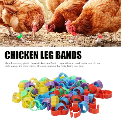 100pcs Chicken Ankle Bands, Multicolor Poultry Leg ID Clips Numbered Chick Identification for Farm Breeding Durable Plastic
