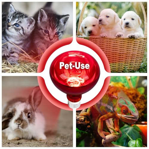 4 Pack 250W Heat Lamp Bulbs for Chicks, R40 Red Heat Lamp for Chickens, Infrared Heating Bulbs for Brooder Heater, I Incandescent Heat Bulb for Pet, Bathroom, Food