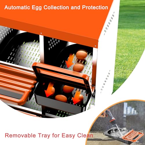 Chicken Nesting Boxes, Metal Roll Away Nest Box for Chickens Laying Egg with Lid Cover to Protect Eggs (4 Holes Orange) - size: 4 Holes