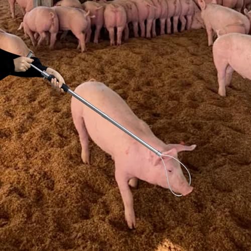 Dog Catcher Pole, Portable Hog Pig Catcher Pole,Stainless Steel Animal Control Pole Tool for Pig Dog Animals Swine, Livestock Farm Equipment