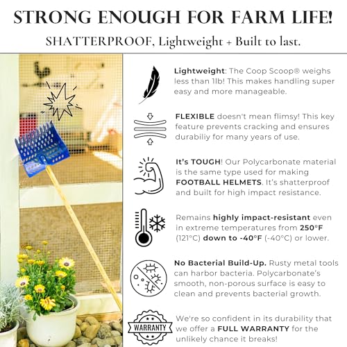 The Coop Scoop® Original 2-in-1 Chicken Poop Scooper & Rake – Made in The USA, Patented, Durable Sand Sifting Litter Shovel for Chicken Coops & Small Farm Animals - size: Versatile SHELF/GROUND (original) | 36" Handle