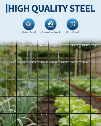 Wire Fence,24 Inch x 60 Foot,2x3 Inch 16GA,Garden Border Fencing Roll Vinyl Coating Metal Wire Mesh for Yard Vegetable Plant Protection Poultry Netting - size: 2" x 3" 16GA 2'×60'