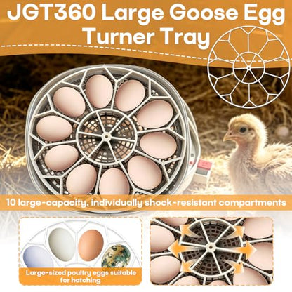 JGT360 Large Goose Egg Turner Tray Compatible with Nurture Right 360 Incubator Parts, Holds 10 Jumbo Goose Eggs, Heavy Breed Compatible Egg Incubator Tray for Large and Heavy Eggs (White)