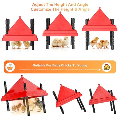 ZenxyHoC Brooder Plate for Chicks with Anti-Roost Cone, Chick Brooder Heater Red 10" x 10" with Digital Display Temperature Control - size: 10" x 10" with Digital display temperature control
