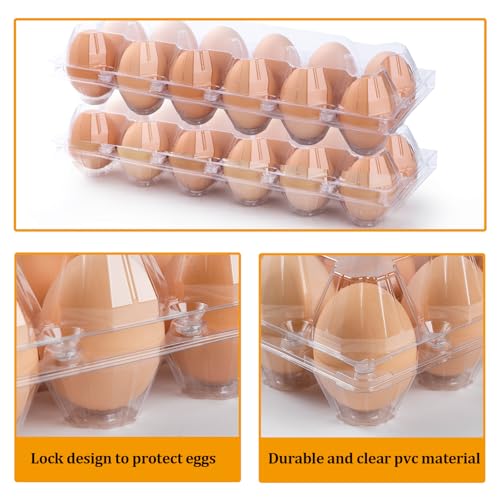 48 Pack Egg Cartons Cheap Bulk 12 Count, 1 Dozen Clear Empty Chicken Egg Cartons for Chicken Eggs, Plastic Egg Holder Egg Container for Family, Chicken Farm and Markets - Medium Reusable Egg Carton - size: 48P2×6