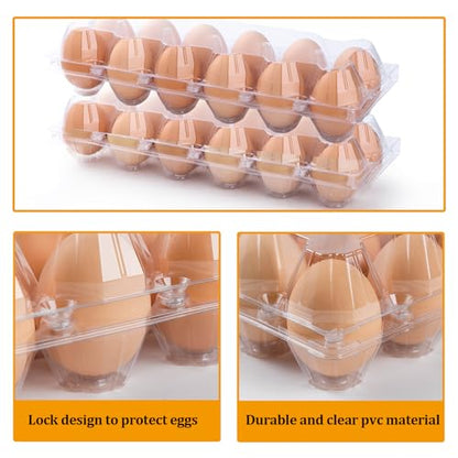48 Pack Egg Cartons Cheap Bulk 12 Count, 1 Dozen Clear Empty Chicken Egg Cartons for Chicken Eggs, Plastic Egg Holder Egg Container for Family, Chicken Farm and Markets - Medium Reusable Egg Carton - size: 48P2×6