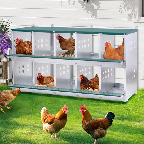 Chicken Nesting Box - 10 Compartment Chicken Laying Boxes Metal Chickens Coop | Wall Mount Roll Away Nesting Boxes for Laying Eggs for Chickens Hens Ducks Poultry Easy to Install & Clean - color: Green, size: 53.0"L x 16.0"W x 26.3"H