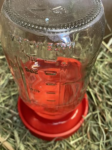 Chick Feeder and Waterer Lid, 2 Piece Set for Standard Mouth Mason Jar (Jars are NOT Included) (RED) - color: RED