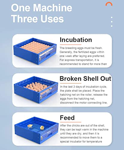 Automatic Egg Incubator Digital Poultry Hatcher Machine ith Automatic Egg Turning, Temperature & Humidity Control, Efficient LED Lighting for Chicken Geese Ducks Pigeons Quails (128 Eggs, B)