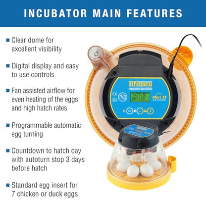 Brinsea Mini II Advance Egg Incubator Classroom Kit Brooder Pack for Students with Lesson Plan, Egg Scope, EcoGlow Brooder, Plastic Chick Enclosure, Feeder and Drinker for Hatching Chicks, Ducklings - size: Classroom Kit, 7 Eggs