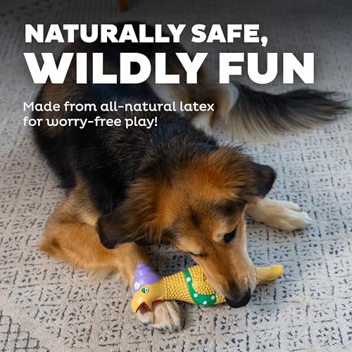 Outward Hound by Charming Pet Squawkers Grandma Hippie Chick Latex Squeaky Rubber Chicken Dog Toy, Funny Interactive Holiday Toy for Dogs, Large Size - color: Grandma Hippie Chick, size: Large