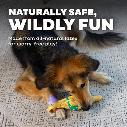 Outward Hound by Charming Pet Squawkers Grandma Hippie Chick Latex Squeaky Rubber Chicken Dog Toy, Funny Interactive Holiday Toy for Dogs, Large Size - color: Grandma Hippie Chick, size: Large