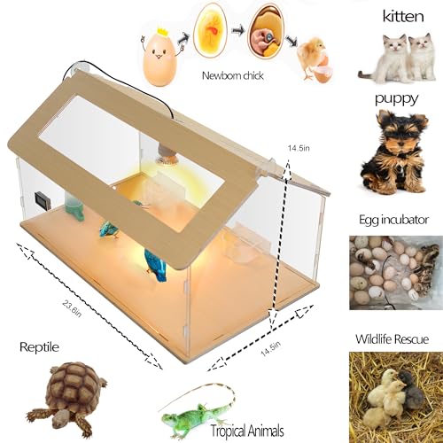 25~40 Newborns Chick Brooder Box Quail Cage Bird Playground Egg Incubator Chick Starter Kit