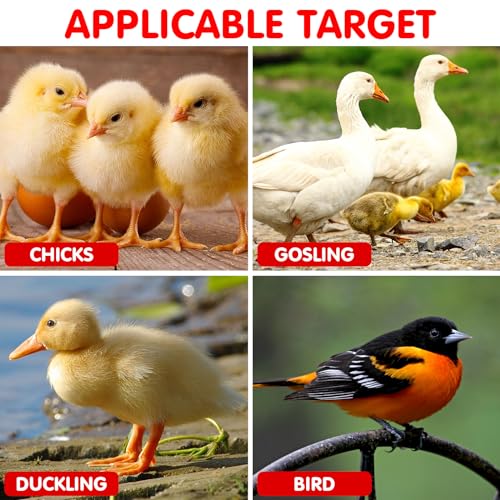 IMIKEYA 1 Set Quail Feeder Chick Feeder Quail Waterer Small Chick Feeder Poultry Chicken Water Jar Poultry Water Bucket Automatic Poultry Water Feeder Poultry Feeding Equipment Feeding Cup