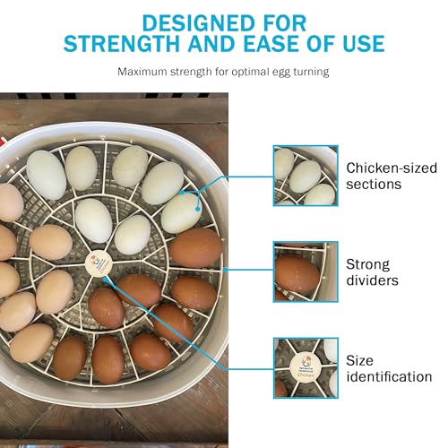 Egg Trays for Nurture Right 360 Egg Incubator - 22 Medium Chicken Eggs Capacity - Durable Hand Washable Egg Keeper for Chicken Goose Turkey Emu