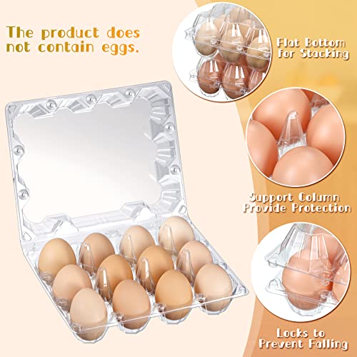 Zubebe 200 Pieces Clear Plastic Egg Carton - Bulk Empty Chicken Tray Holds Securely for Farm Business Market Home Refrigerator Storage (3 x 4 Grids) - size: 3 x 4 Grids