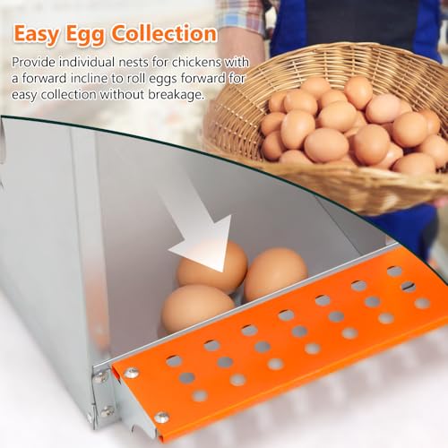 Heavy-Duty Wall-Mounted Metal Nesting Box for Backyard Chickens and Ducks with Ventilation and Easy Egg Access (6-Orange)