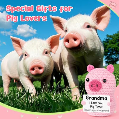 GevGuxLuo Funny Positive Pig Birthday Gifts for Grandma Women,Handmade Crochet Animals Pig Grandma Gifts from Granddaughter Grandson for Birthday Positive Cute Desk Decor - style: Grandma