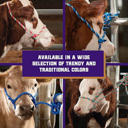 Weaver Livestock Braided Poly Rope Cattle Halter, Adjustable Cow Calf Halter, Livestock Handling Equipment for Showing, Dark Blue/Hurricane Blue/Gray - color: Dark Blue/Turquoise/Gray, size: One Size