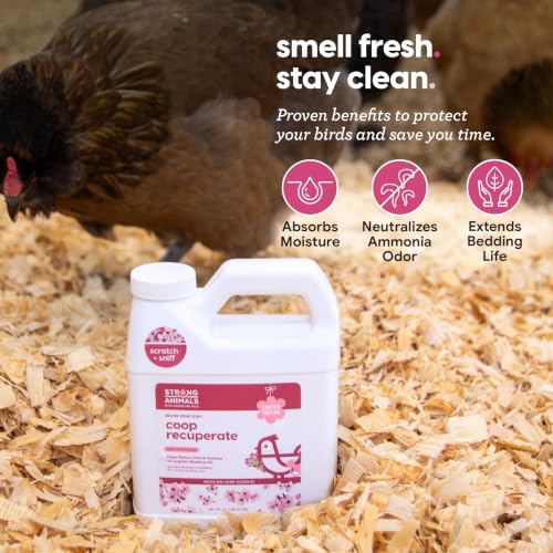 Coop Recuperate for Chickens - Cherry Blossom Coop Refresher for Chickens, 2.5 lb 2 Pack, Controls Odor, Moisture & Ammonia, Bedding Accessories & Deodorizer, Limited Edition Spring Scent