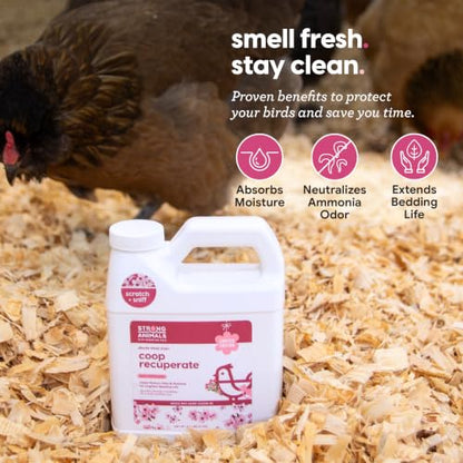 Coop Recuperate for Chickens - Cherry Blossom Coop Refresher for Chickens, 2.5 lb 2 Pack, Controls Odor, Moisture & Ammonia, Bedding Accessories & Deodorizer, Limited Edition Spring Scent