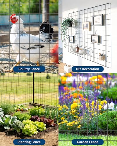 Cattle Farm Fence,Galvanized Garden Fencing 3 x 30ft 16GA 2x2 Inch Garden Border Metal Chicken Wire Fencing Mesh Roll for Yard Vegetable Plant Protection Poultry Netting - size: 2" x 2" 16GA 3'×30'