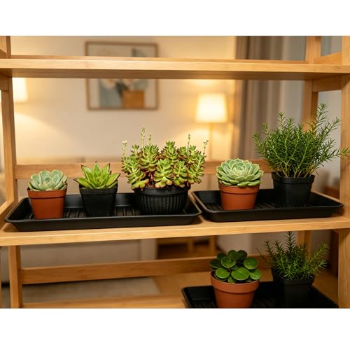 Plant Saucer Tray 6.5 x 13 Inch, Heavy Sturdy Long Narrow Plastic Plant Drainage Tray No Holes, Drip Tray for Pots, Seed Starter Growing Tray, Black - color: Black, size: 13" x 6.5" x 1.2" (6pack)