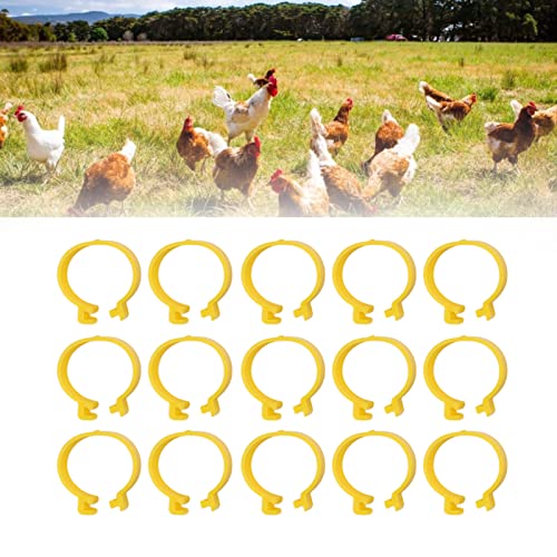 100Pcs Chicken Ankle Rings, Yellow Chicken Leg Rings, Plastic Poultry Leg Bands Rings for Ducks Guinea Goose Gamefowl Turkey (16mm) - size: 16mm