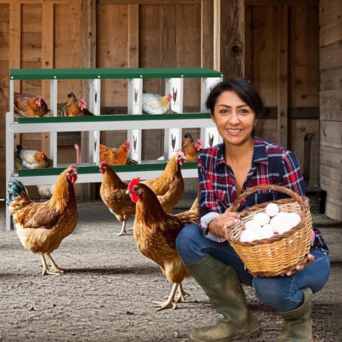IDEALHOUSE Chicken Nesting Box, Galvanized Steel Laying Box with Rustproof & Roll-Away Egg Design, for Hens, Green 10 Compartment with Bracket - color: Green, size: 10 compartments (with bracket)