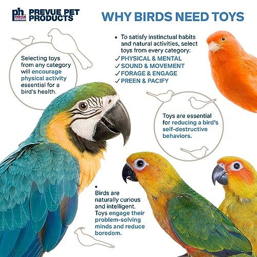 Prevue Pet Products Sink 'n Seek Playfuls Forage & Engage Bird Toy - Cage Accessories for Small to Medium Birds, Ideal for Cockatiels, Conures, Parakeets, Budgies, Lovebirds, and African Greys