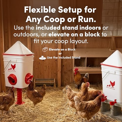 RentACoop Chicken Feeder & Waterer Set– 25lb No-Waste Feeder with 4 Large Ports + 5-Gallon Waterer with Auto-Fill Cups & Horizontal Nipples – BPA-Free, Anti-Roost Cone, Adjustable Stands