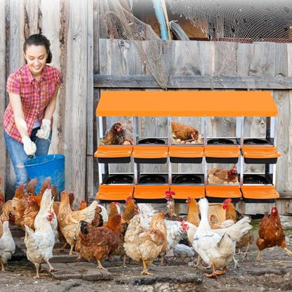 Chicken Nesting Box,10 Hole 2 Layer Hen Nest Boxes, Roll-Away Egg Collection System with Ventilation Holes，Rustproof Plastic Tray & Keyhole Mounting, Chicken Laying Box - color: Orange, size: 10 holes
