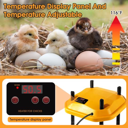 10 * 10inch Chick Brooder Heater Plate with Temperature Adjustable and Display,Adjustable Height & Angle Brooder Box for Baby Chicks Quail Duckling Chicken Heat Warmer Lamp Poultry Habitat Supplies - size: 9.0"L x 10.0"W x 10.0"H