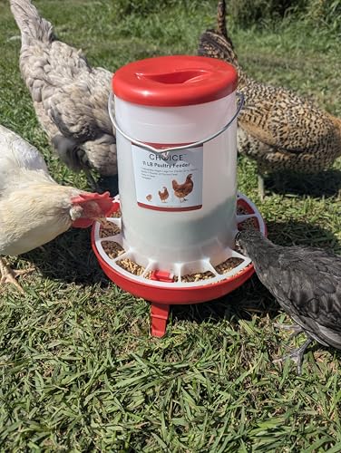 Hen's Choice 11 LB Poultry Feeder, Twist Lock Base, Adjustable Legs, Hangable with Lid (Red) - color: Red
