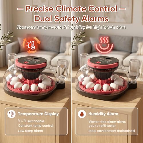 MYPIN Automatic 12-Egg Incubator with Camera & App Control, Smart Temperature Humidity Monitor, Auto Turner for Chicken Duck Quail Pigeon Hatching, Record Life's Birth Moments