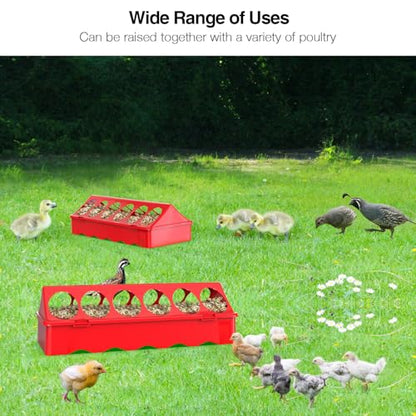 Chick Feeder and Waterer Kit, Chick Feeder Trough and 0.3 Gallon Chick Waterer, No Waste Baby Chick Starter Kit for Chicks, Ducks, and Quail - color: Set