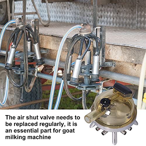 Milking Claw, 400CC Milk Collector, Strong and Sturdy, Safe, Stainless Steel Milk Claw with Straight Buckle for Farms, Medium Sized Centralized Milking Stations