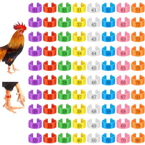 80 Pcs Chicken Leg Bands, 16mm Chicken Leg Bands with 8 Colors, Colorful 01-80 Numbered Chicken Identification Leg Bands Duck Poultry Leg Tags for Chicks Ducks Bantam Guinea Pigeons Goose Gamefowl