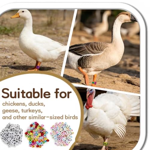 120 Pcs Adjustable Chicken Leg Bands, Colorful Poultry Identification Leg Bands with Number & Letter Charms for Chicken Duck Turkey Goose Farm Supply