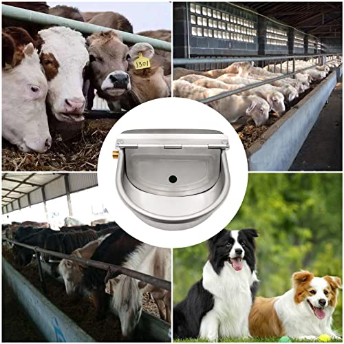 Automatic Waterer Feeder Dog Water Bowl Dispenser Drinking Trough | Stainless Steel Bowl, With Brass Float Valve, Self Filling, For Farm Animal Large Dog & Chicken & Poultry & Livestock & Horse