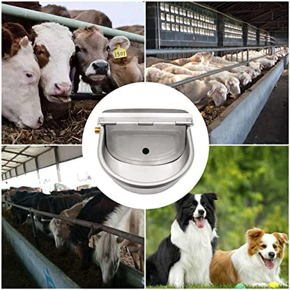Automatic Waterer Feeder Dog Water Bowl Dispenser Drinking Trough | Stainless Steel Bowl, With Brass Float Valve, Self Filling, For Farm Animal Large Dog & Chicken & Poultry & Livestock & Horse