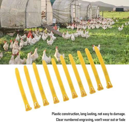 HEEPDD Chicken Leg Bands, Adjustable Fadeless Numbered Plastic Poultry Identification Leg Rings with Clear Colorfast Engraving, for Duck Goose Chicken Management (Yellow) - color: Yellow