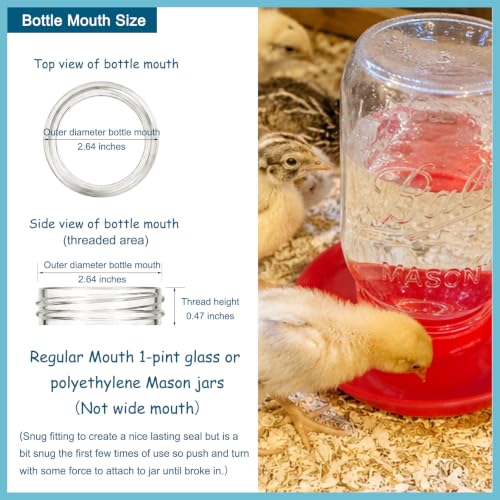 No Drown Screw-On Chick Waterer and Feeder Base Quail & Chick Compatible with 1 Little Pint Threaded Neck Bottle（Bottle not Included