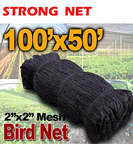 Strong All Season 50ft X 100ft Net Long Lasting Netting for Bird Poultry Aviary Game Pens New 2" Square Mesh Size - size: 50ft x 100ft