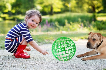 11" Ball-Shaped Movable Pigeon Chick Coop, Little Rabbit Duck Guinea Pig Safe Walking Net,Preventing Dog Bites, Predation by Eagles Wolves Cats Eagles, Pet Safety Cage - color: Green