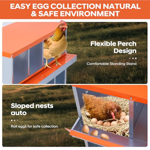 GarveeLife Chicken Nesting Box, 8 Compartments Nesting Box for Chickens, Two-Tier Galvanized Steel Chicken Egg Laying Box with Large Vented Holes Wall Mounting for Easy Egg Collection - color: Orange | 8 Compartments