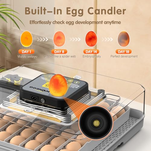 Egg Incubator 48 Eggs Automatic Egg Turning Chicken Incubators for Chicken, Ducks, Goose, Pigeon, Quail, Parrot Incubator for Farm - size: 48 chicken eggs