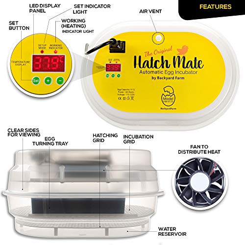 HatchMate™ Egg Incubator with Automatic Egg Turning and Humidity. Small & Portable for Hatching 9-12 Eggs. Hatch Chickens Quail Duck Turkey Parakeet & More