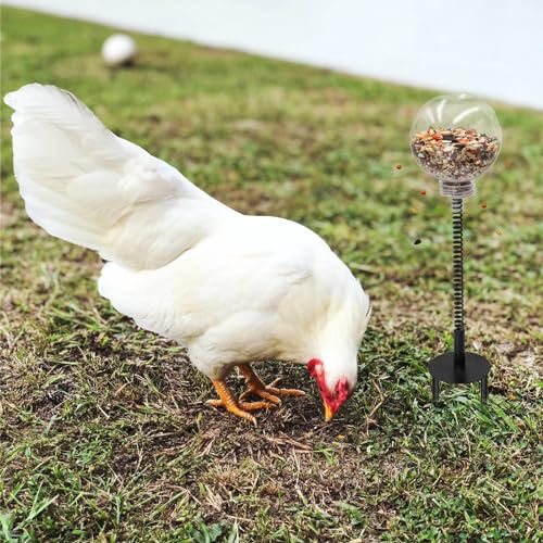 Oooct 4 Pack Chicken Peck Toy - Chicken Enrichment Toys with Swing Feeder & Slow Feeder for Hens, Ducks, Parrots - size: 4 Pack